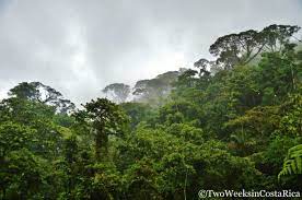 Braulio Carrillo National Park: Wild Jungle Near San Jose - Two Weeks in  Costa Rica